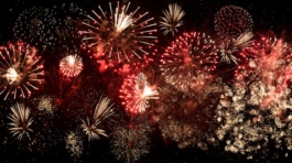 event-designecologist-2526105